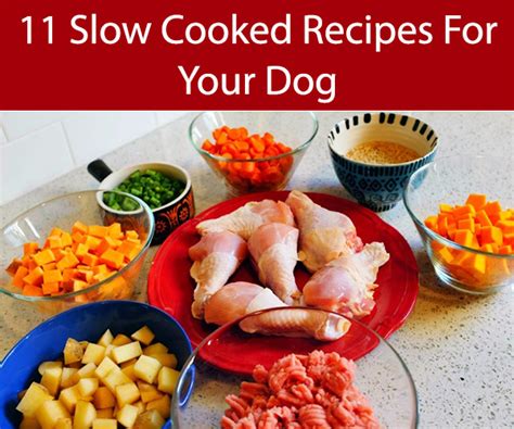 10-slow-cooker-and-crock-pot-dog-food image