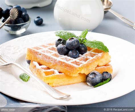 sour-cream-belgian-waffles-recipe-recipelandcom image