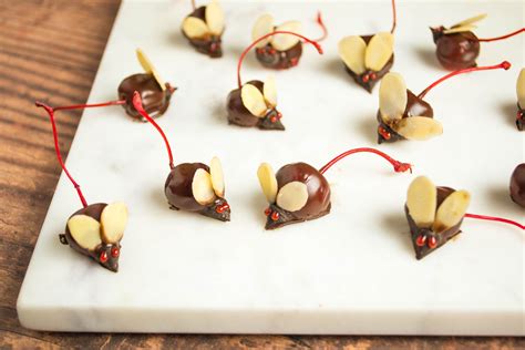 chocolate-covered-cherry-mice-recipe-the-spruce-eats image