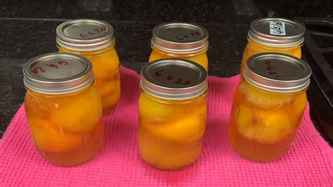 the-perfect-pickled-peaches-homegrown-nc-state image