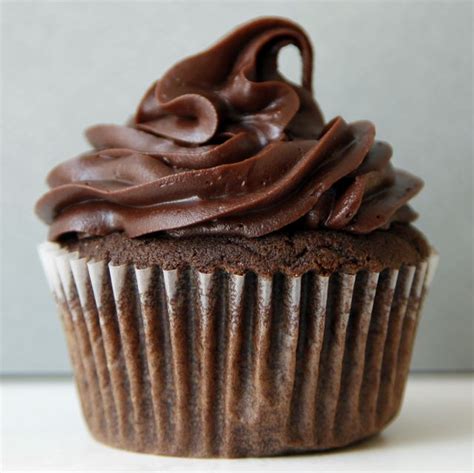 best-basic-chocolate-cupcakes-recipe-the-pioneer image