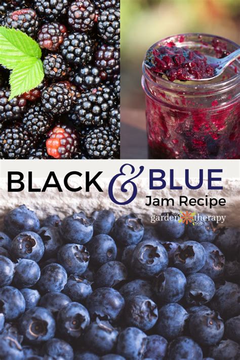 black-blue-blackberry-blueberry-jam-recipe-garden image