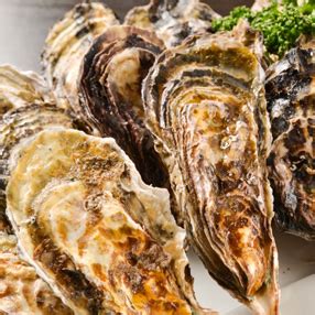guide-to-eating-oysters-in-japan-gurunavi image