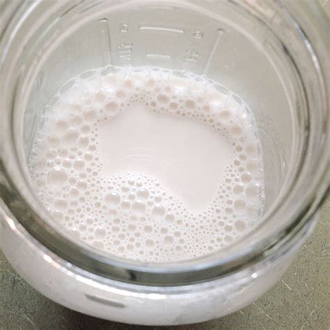 how-to-make-raw-nut-milk-almond-or-hazelnut image