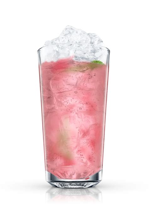 raspberry-spritzer-recipe-absolut-drinks image