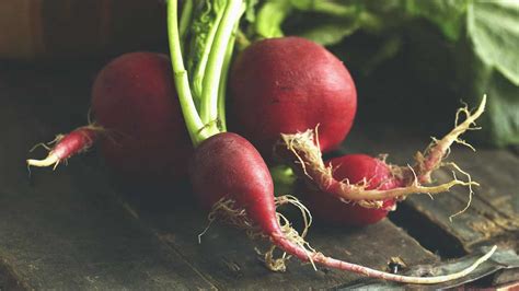 are-radishes-good-for-you-healthline image