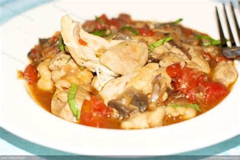 hunters-chicken-stew-recipe-recipeland image