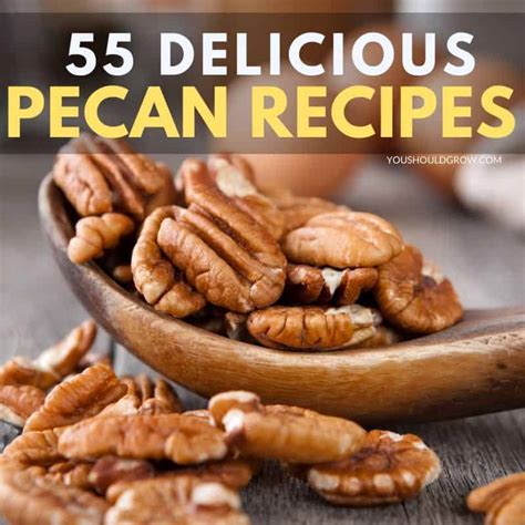 55-sweet-and-savory-pecan-recipes-you-should-grow image