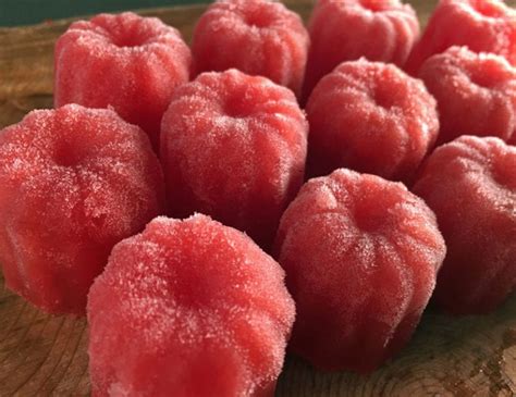 watermelon-campari-ice-cubes-recipe-alton-brown image