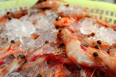 7-sushi-roll-recipes-with-shrimp-easy-homemade-sushi image