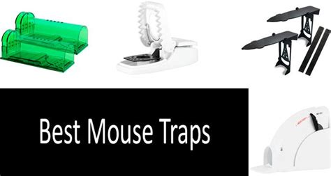 9-best-mouse-traps-in-2022-that-actually-catch image