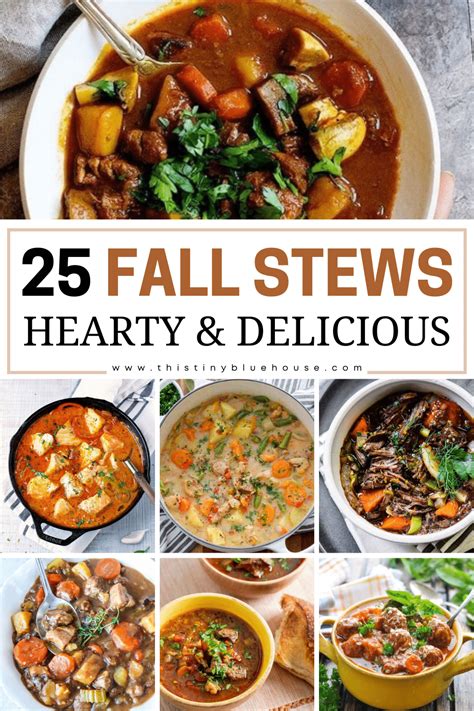 20-mouthwatering-delicious-hearty-stews-you-need-try image