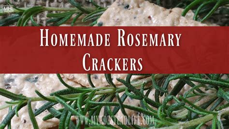 homemade-rosemary-crackers-my-homestead-life image