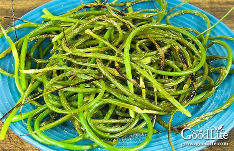 grilled-garlic-scapes-grow-a-good-life image