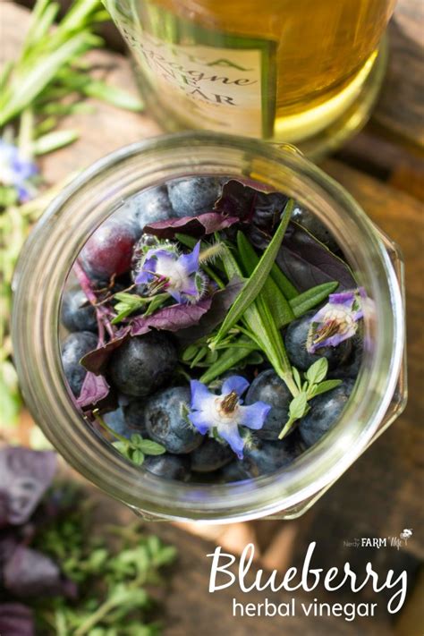 blueberry-herbal-vinegar-a-brain-food-the-nerdy image