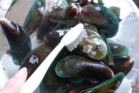 drunken-mussels-in-garlic-butter-sauce-bear-naked image