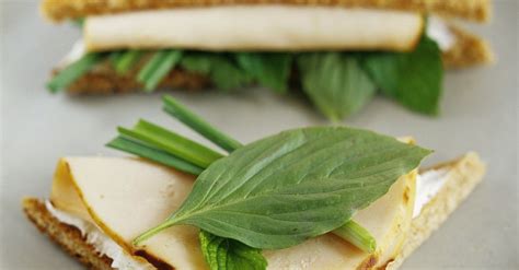 turkey-sandwich-recipe-eat-smarter-usa image