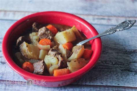 irish-stew-with-irish-soda-bread-crock-pot-food-fun image