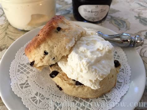 devonshire-cream-recipe-finding-our-way-now image