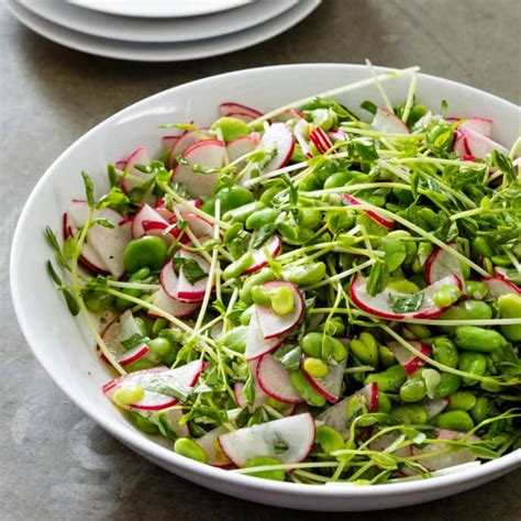 fava-bean-and-radish-salad-americas-test-kitchen image
