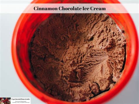 cinnamon-chocolate-ice-cream-experimental image