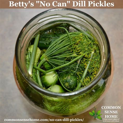 bettys-no-can-dill-pickles-just-stick-them-in-a-jar image