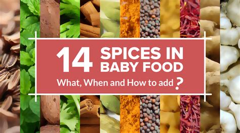 14-spices-in-baby-food-what-when-and-how-to-add image