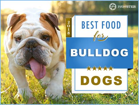 8-best-dog-foods-for-bulldogs-in-2022-pawster image