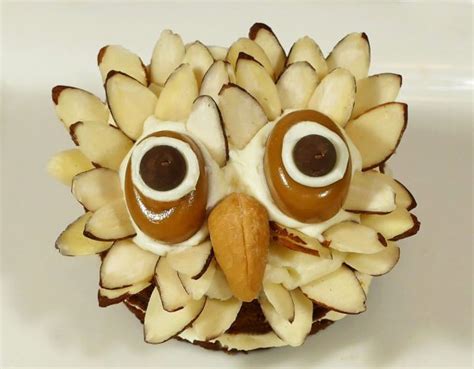 hoot-the-owl-cookies-jan-datri image