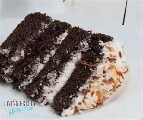 chocolate-gluten-free-coconut-cake-living-freely image
