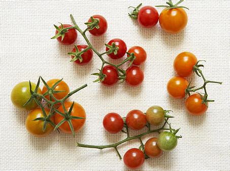 cherry-tomato-and-black-olive-salad-cookstrcom image