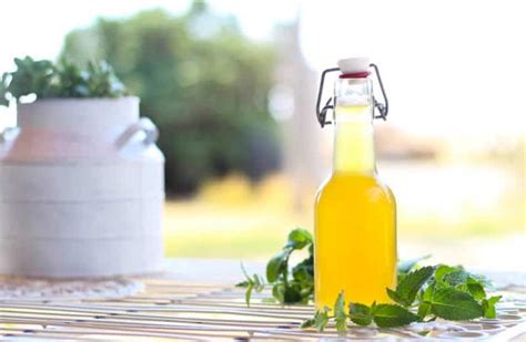simple-mint-syrup-recipe-the-prairie-homestead image