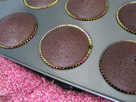 chocolate-cupcakes-lactose-egg-free-deannas image