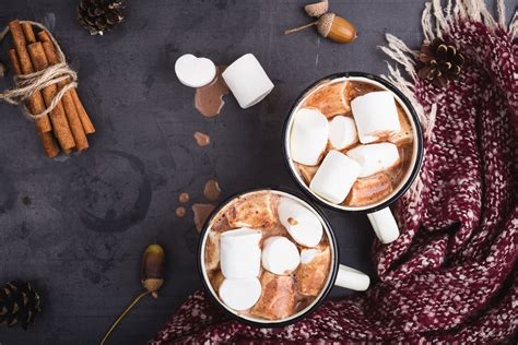 the-history-of-hot-chocolate-the-spruce-eats image