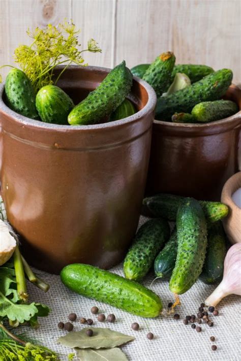 how-to-make-old-fashioned-pickles-in-a-crock-this image