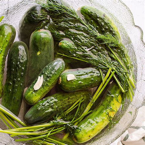 two-day-ukrainian-garlic-dill-pickles-potluck-at-oh image