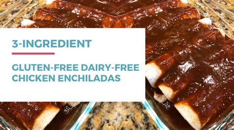 3-ingredient-gluten-free-dairy-free-chicken-enchiladas image