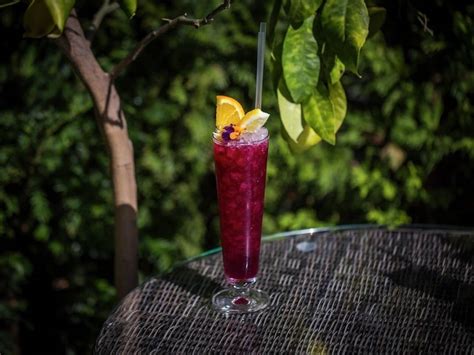 claret-cobbler-cocktail-recipe-gordon-ramsay-drink image