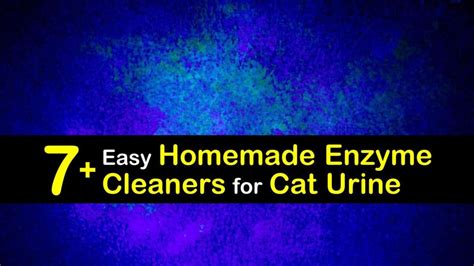7-easy-homemade-enzyme-cleaners-for-cat-urine-tips image