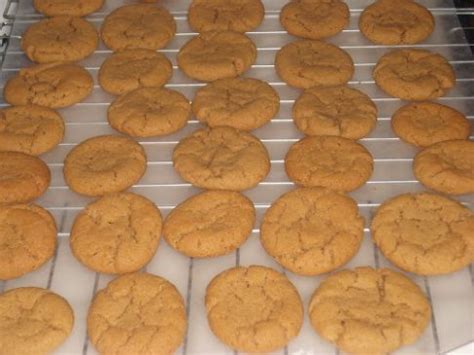 south-beach-friendly-peanut-butter-cookies-sparkrecipes image
