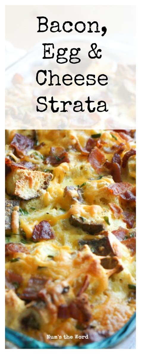 bacon-egg-cheese-strata-nums-the-word image