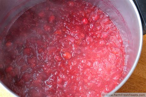 cranberry-salsa-put-it-up-or-give-it-away-farm-fresh image