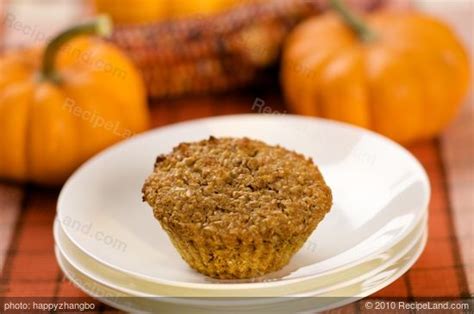 pumpkin-oat-bran-muffins-recipe-recipelandcom image