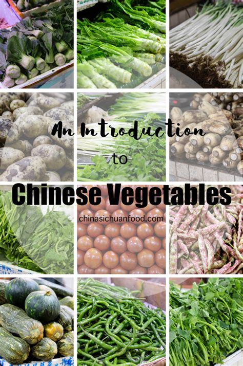 an-introduction-to-chinese-vegetables-leafy-green image
