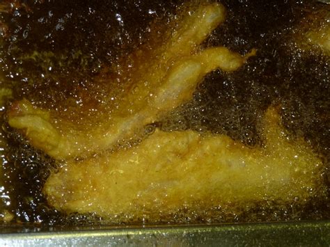 fish-batter-fermented-yeast-batter-the-ships-cook image