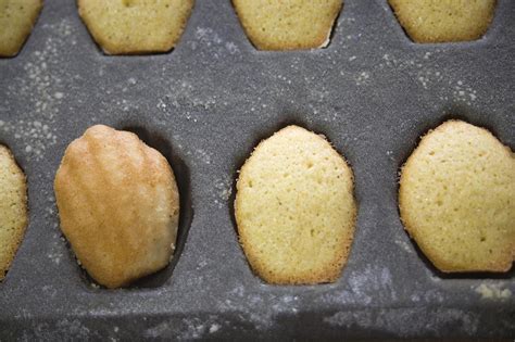 french-madeleine-butter-cookies-recipe-the-spruce image