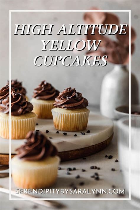 high-altitude-yellow-cupcakes-with-chocolate image