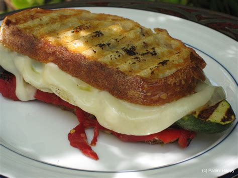 grilled-vegetable-panini-panini-happy image
