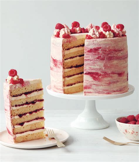 raspberry-ripple-cake-cool-food-dude image