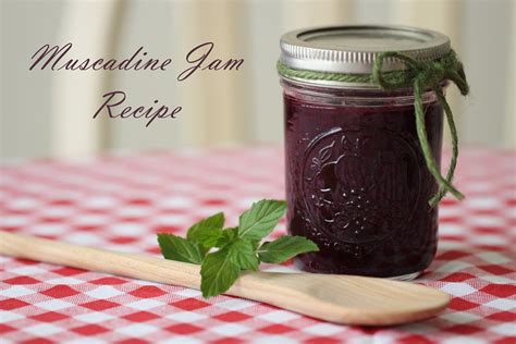 muscadine-jam-recipe-my-little-green-garden image